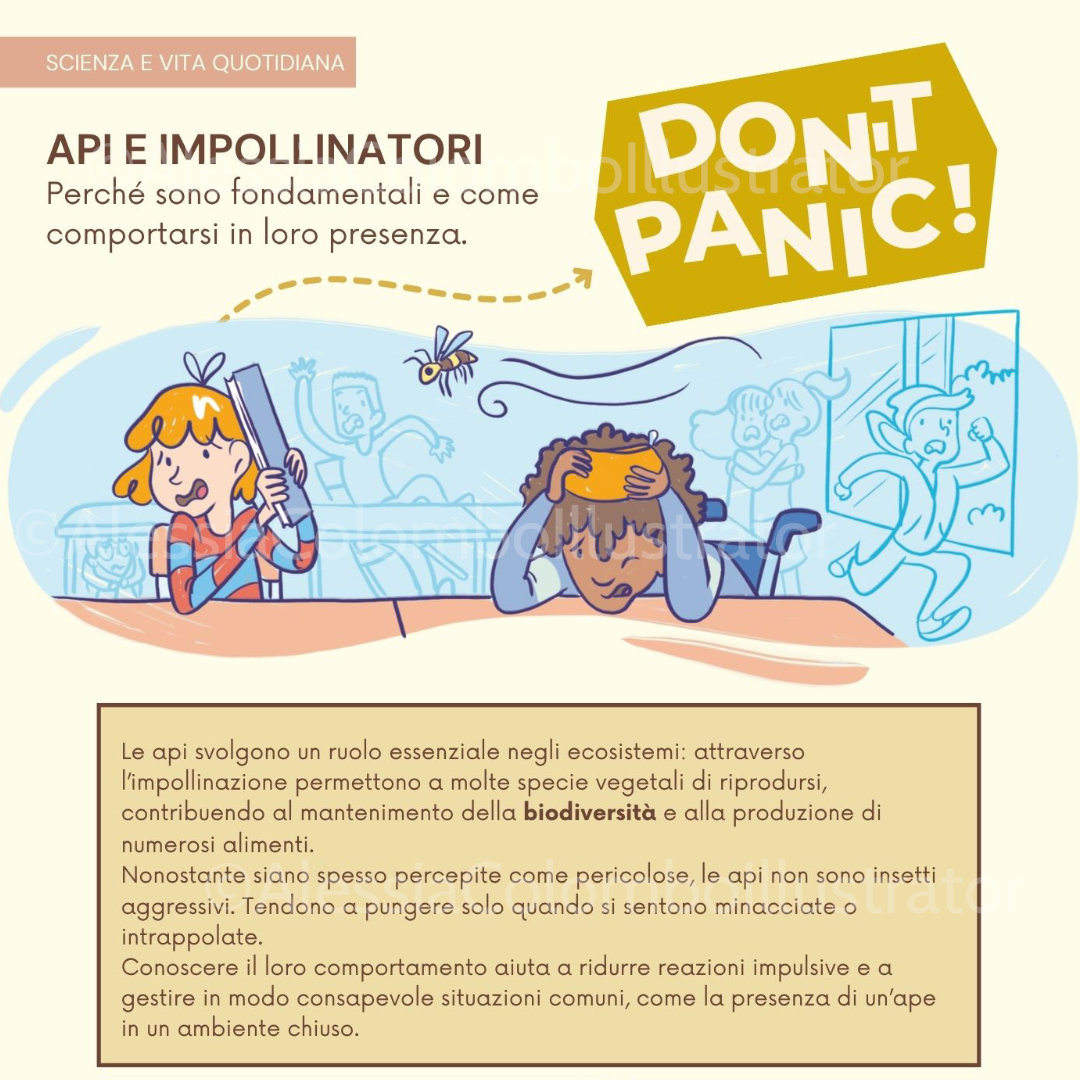 scolastica_imp02.jpg